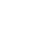 Home Security Icon